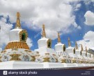 Local Sightseeing - Leh  