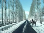 Srinagar to Pahalgam (Day Trip) 186 Kms